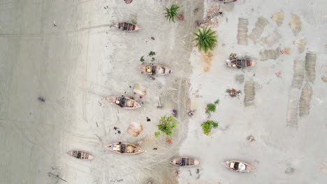 Traditional-boats-on-a-sandy-beach-with-clear-water-and-scattered-palm-trees,-aerial-view