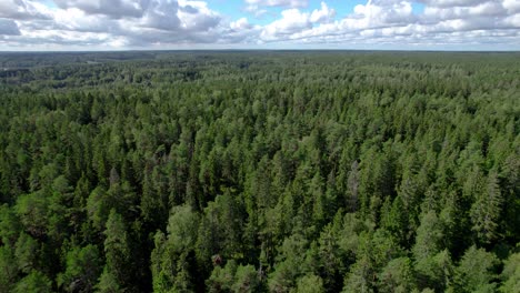 Vista-Superior-De-Los-Bosques-Finlandeses-Durante-El-Verano-En-Un-Día-Soleado-En-Finlandia