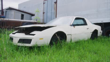 1980s-Camaro-sitting-in-a-field-of-lush-green-grass-rusting-away