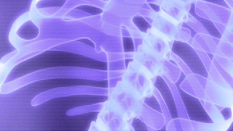 animated-moving-motion-background-showing-anatomy-of-a-human-body-skeleton-structure