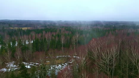 Smoke-rises-from-forest-in-early-spring-during-Ukraine-conflict,-aerial-view