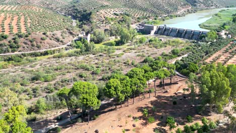 Luftaufnahme-über-Den-Bäumen,-Mit-Dem-Stausee-Im-Hintergrund,-Der-Das-Wasser-Des-Flusses-Guadalquivir-Enthält