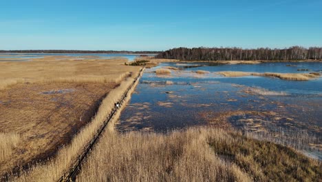 Holzbretter-Wanderweg-Durch-Das-Schilf-Des-Kaniera-Sees,-Luftaufnahme-Vom-Frühling,-Lapmezciems,-Lettland