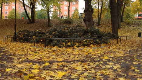 Ground-view-of-autumn-leaves-in-park-and-road-traffic-in-background