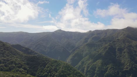 Hermosa-Naturaleza,-Rodeada-De-Naturaleza-Verde-Y-Montañas-En-Madeira