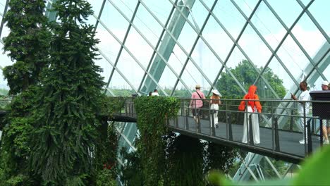 People-walking-on-cloud-forest-aerial-walkway,-greenhouse-conservatory-with-temperature-control-and-mist-spraying-to-keep-the-environment-moist,-Gardens-by-the-bay,-the-iconic-attraction-of-Singapore