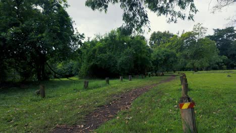 Tranquil-Pathway-in-a-Lush-Green-Park