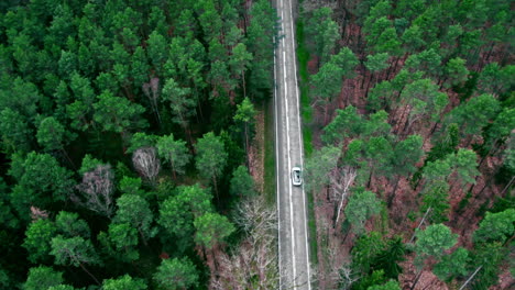 Drohnenaufnahmen-Eines-Weißen-Autos,-Das-Durch-Den-Wald-Fährt