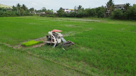 Harvesting-Machine-On-Green-Agricultural-Field-In-Virac,-Catanduanes,-Philippines