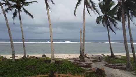 Hohe-Palmen-Und-Strand-Fliegen-Durch-Die-Philippinen