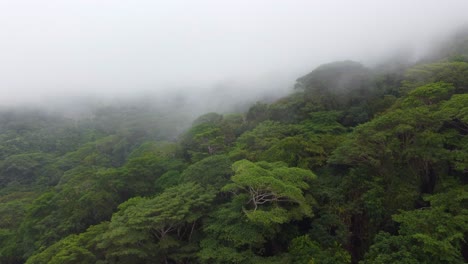 Aerial-landscape-view-over-the-Amazon-Rainforest-lush-vegetation,-in-Colombia,-on-a-misty-and-cloudy-day