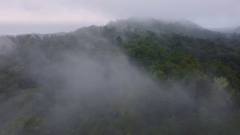 Nebel,-Wolken-Und-Dunst-Hängen-über-Einem-üppigen-Tropischen-Regenwald-In-Minca,-Kolumbien