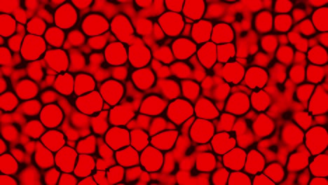 Animación-De-Glóbulos-Rojos-Bajo-El-Microscopio.