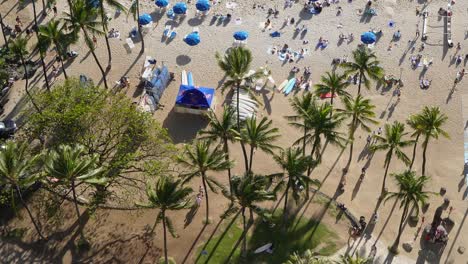 Waikiki-Beach-In-Oahu,-Honolulu,-Hawaii