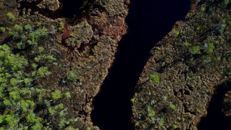 Latvian-nature-in-Kemeri-national-park-top-down-view-ascending-aerial