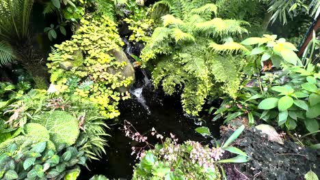 Tropische-Vegetation-Und-Bach-Im-Nebelwald-Zeitgenössischen-Gewächshaus-In-Singapur