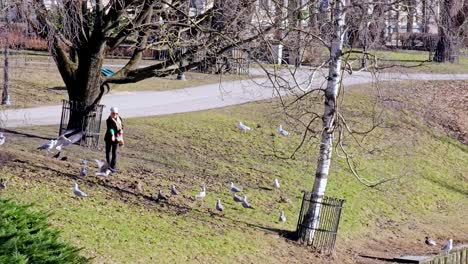 A-woman-is-feeding-in-a-park-birds,-a-group-of-seagulls