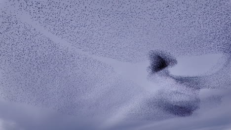 A-murmuration-of-starlings-creates-stunning-patterns-across-the-sky