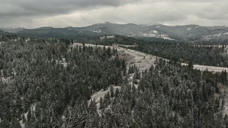Atmósfera-Sombría-En-La-Montaña-Del-Bosque-Cerca-De-Sun-Valley-Durante-El-Invierno-En-Idaho,-EE.UU.