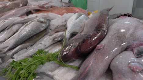 Markttheke-Mit-Frischem-Fisch,-Umgeben-Von-Eis-Zur-Kühlung