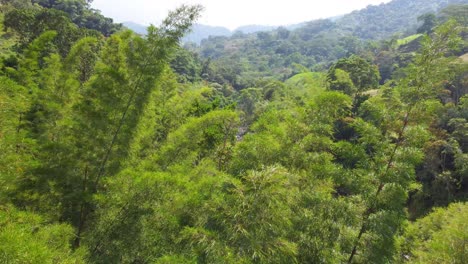 Toma-De-Drones-Acercándose-Al-Lecho-De-Un-Río-Seco-Entre-Una-Exuberante-Selva-Tropical,-Una-Cuenca-Protegida-Ubicada-En-Río-Negro,-Laguna-De-Fuquene,-Risaralda,-En-Colombia