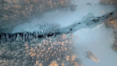 Frozen-river-and-white-forest-on-cold-sunny-winter-day,-aerial-top-down-view