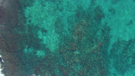 Crystal-clear-Pacific-ocean-near-coastline-of-Hawaii,-aerial-top-down-view