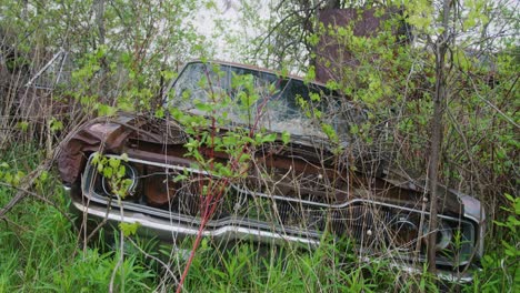 An-abandoned-car-left-to-rust-away-in-the-middle-of-a-forest
