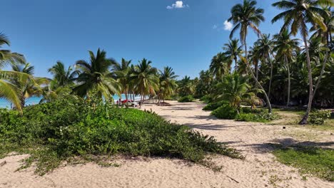 Vuelo-Bajo-Aéreo-Sobre-La-Arena-De-La-Playa-Caribeña-En-Un-Día-Soleado,-República-Dominicana