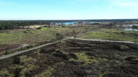 Kalmthoudste-Heide-Volando-Sobre-Una-Zona-De-Deforestación-Hacia-Los-Humedales