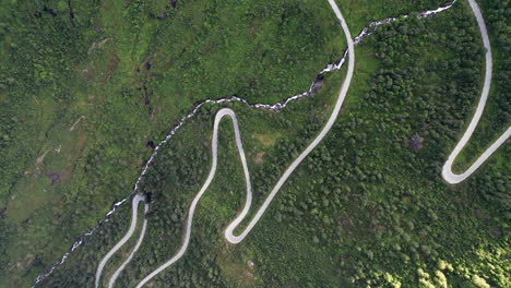 Bird's-Eye-View,-tracking-over-a-winding-serpentine-road-in-thick-trees-and-grass