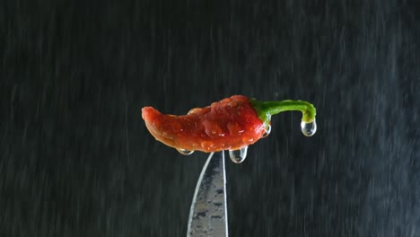 Rote-Würzige-Jalapeno-Chili-Schote-Tropfnass-Auf-Scharfem-Messer-Mit-Fallendem-Wasserspray-Vor-Schwarzem-Hintergrund