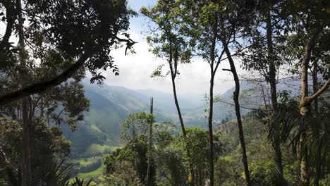 Gründung-Des-Cocora-Tals-In-Kolumbien,-Landschaft-Mit-Grüner-Landschaft