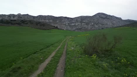 Luftaufnahmen-Von-Drohnen-Fangen-üppiges-Tal-Mit-Hoch-Aufragenden-Bergen-Im-Hintergrund-Unter-Bewölktem-Himmel-In-Südspanien-Ein