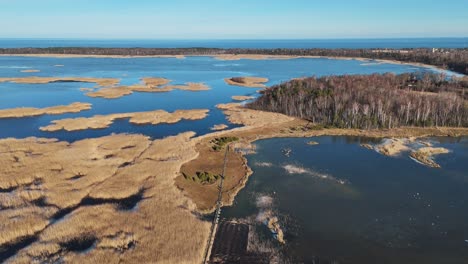 Holzbretter-Wanderweg-Durch-Das-Schilf-Des-Kaniera-Sees,-Luftaufnahme-Vom-Frühling,-Lapmezciems,-Lettland