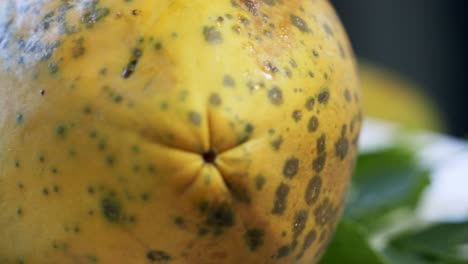 Reife-Gelbe-Papaya-Paw-Paw-Dreht-Sich-Auf-Einer-Rotierenden-Plattform-Und-Zeigt-Seine-Schönen-Und-Einzigartigen-Flecken-Und-Haut