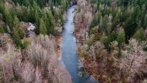 Pacific-Northwest-Bird's-eye-aerial-view-of-calm-flowing-Cedar-River-in-forest-in-Washington-State