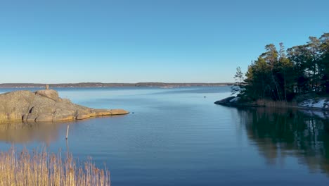 Vogel-Schwimmt-In-Ruhigem-Wasser-Bei-Bewaldeten-Insel-Im-Ostsee-Archipel