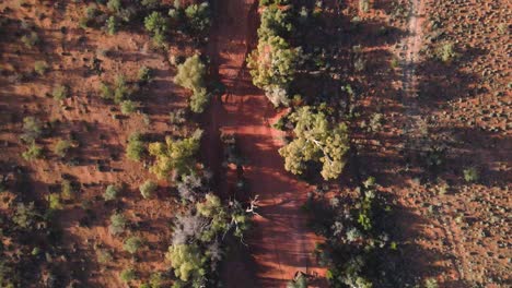 Drohnenaufnahmen-Eines-Ausgetrockneten-Flussbetts-Des-Red-River-Im-Australischen-Outback