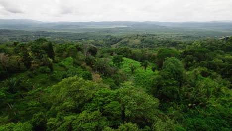 Luftbild-Panoramaaufnahmen-Einer-Naturlandschaft