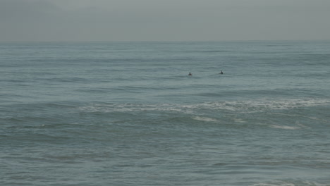 Surfer-Warten-Auf-Wellen-Im-Torrey-Pines-State-National-Reserve-In-San-Diego,-Kalifornien