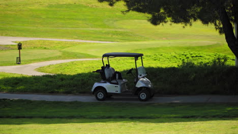 Golf-cart-with-clubs-parked-on-a-path-near-the-green,-sunny-day