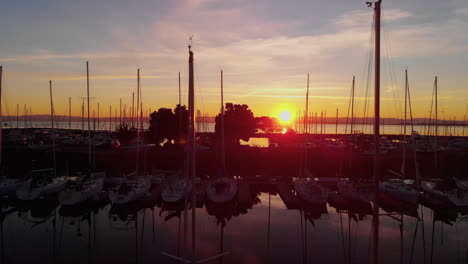 Emocionante-Vuelo-Aéreo-Al-Amanecer-Sobre-Un-Puerto-Deportivo-Al-Amanecer,-En-La-Península-De-California,-Aves-Marinas,-Veleros,-Vistas-Aéreas-Y-Un-Brillante-Sol-Matutino-Reflejándose-En-La-Tranquila-Bahía-De-Sf