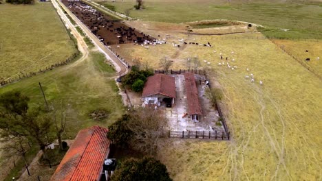 Ganado-Blanco-Y-Negro-Arreado-En-Un-Kraal,-Sobrevuelo-Aéreo-De-Drones