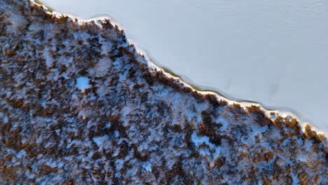 Vista-Aérea-De-Un-Campo-Cubierto-De-Nieve-Junto-A-Un-Río-Sinuoso,-Con-árboles-De-Hoja-Perenne-Esparcidos-A-Lo-Largo-De-La-Orilla