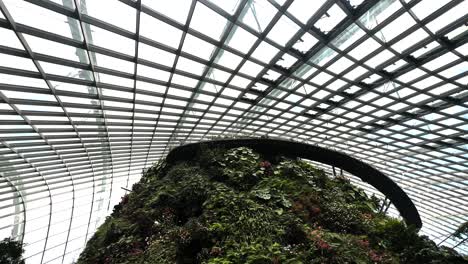 Cloud-Forest-Dome-Structure-At-Gardens-By-The-Bay-In-Singapore