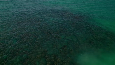 Arrecife-De-Coral-Bajo-Aguas-Cristalinas-De-Color-Turquesa-En-Oahu,-Hawaii.