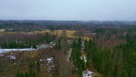 Luftaufnahmen-Des-Waldgebiets-Des-Kemeri-Nationalparks-Mit-Schneeflecken-Zwischen-Den-Bäumen