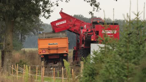 Übertragung-Der-Ernte-Von-Der-Erntemaschine-In-Den-Ackerboden-Durch-Die-Vegetation