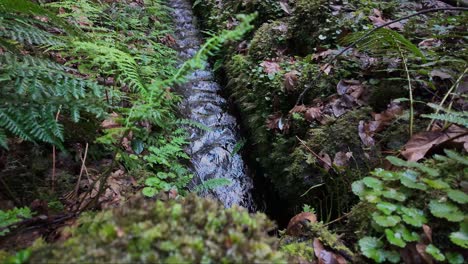Slow-motion-shot-of-fresh-water-down-waterway-levada-system-in-Madeira-Island